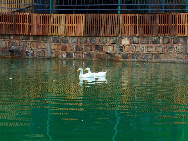 фотографии Amiran's Lake изображение №8