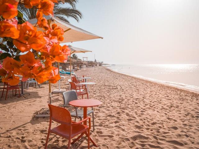 фотографии отеля Fort Arabesque Beach Resort изображение №11