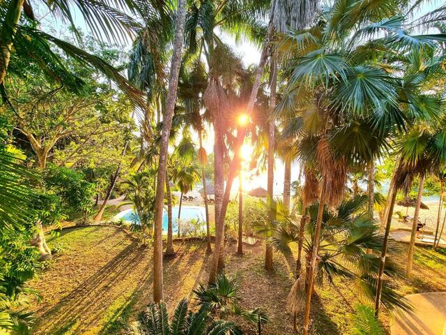фото отеля Jungle Paradise Resort & Spa изображение №9