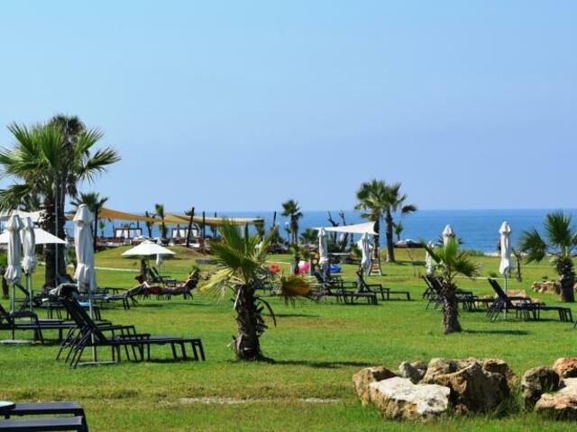 фотографии отеля Elea Golf Club Amphora Hotel & Suites изображение №43
