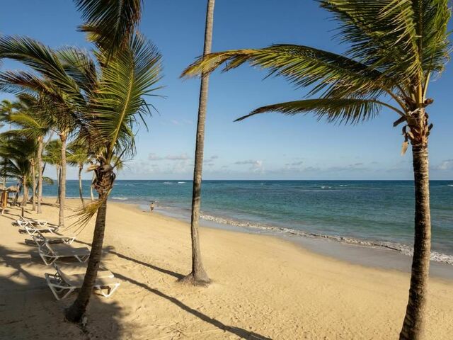 фотографии отеля Jewel Beach Punta Cana All Inclusive Resort & Spa изображение №27