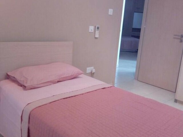 фотографии Lovely 4-bed Apartment In Nicosia Center изображение №16