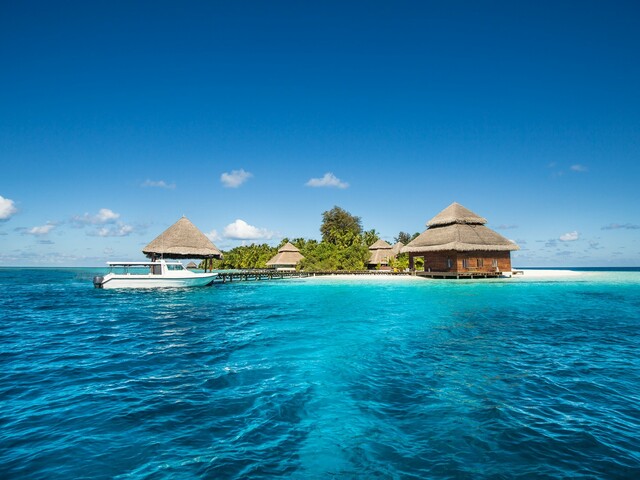 фото Coral Heaven Maldives изображение №10