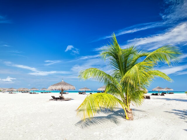 фото отеля Coral Heaven Maldives изображение №9