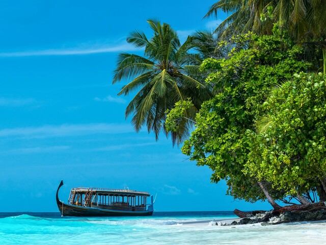 фото Ocean Tribe Maldives изображение №2