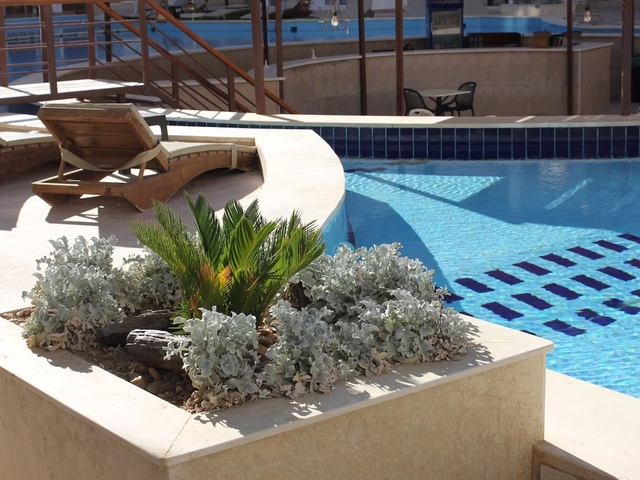 фотографии отеля Lovely Studio By The Pool In Hurghada Nr EL Gouna изображение №11