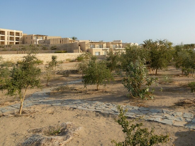 фотографии Wadi Sabarah Lodge изображение №72
