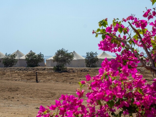 фото отеля Wadi Lahami Village изображение №9