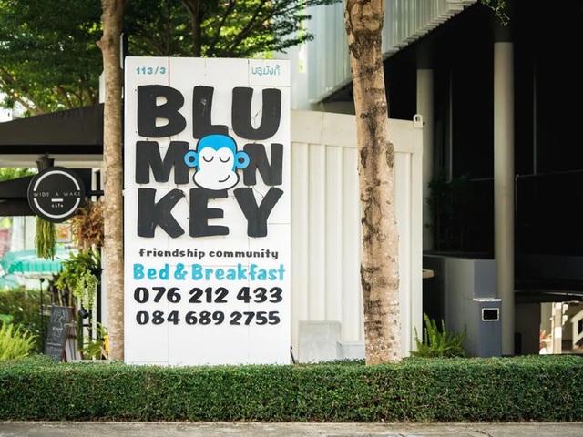 фото отеля Blu Monkey Bed & Breakfast изображение №29