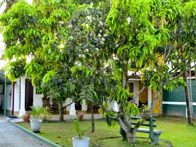фото отеля Negombo Village изображение №13