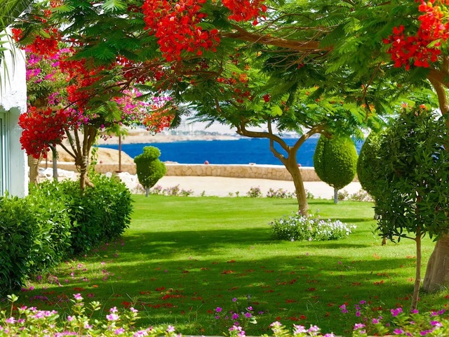 фото Sharm Club Beach Resort (ex. Labranda Tower Bay; Sharm Club) изображение №2