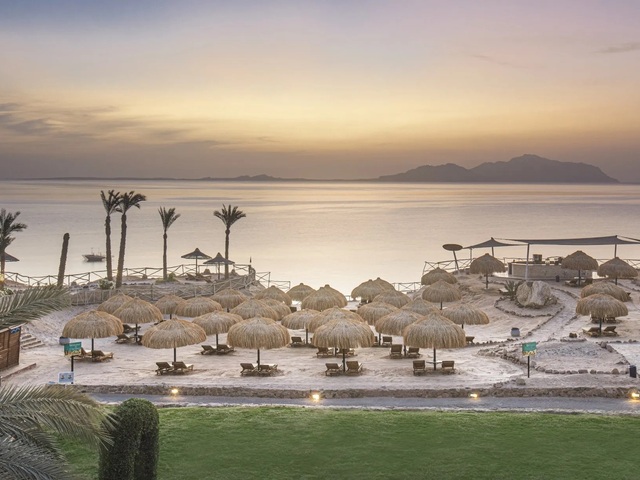 фотографии отеля Pyramisa Beach Resort Sharm El Sheikh (ex. Pyramisa Resort; Dessole Pyramisa Resort; Sea Magic Resort) изображение №15