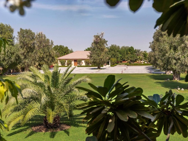 фото Melia Desert Palm Dubai (ех. Desert Palm by Per Aquum Retreat) изображение №50