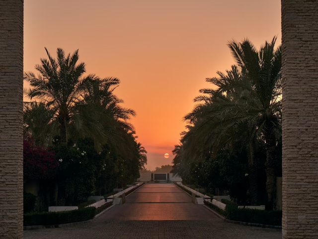 фото Melia Desert Palm Dubai (ех. Desert Palm by Per Aquum Retreat) изображение №30