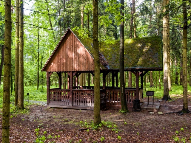 Беседка в лесу фото Отель Атлас Парк (Atlas Park) 4* (Подмосковье, юг) - бронирование номеров 2024, 