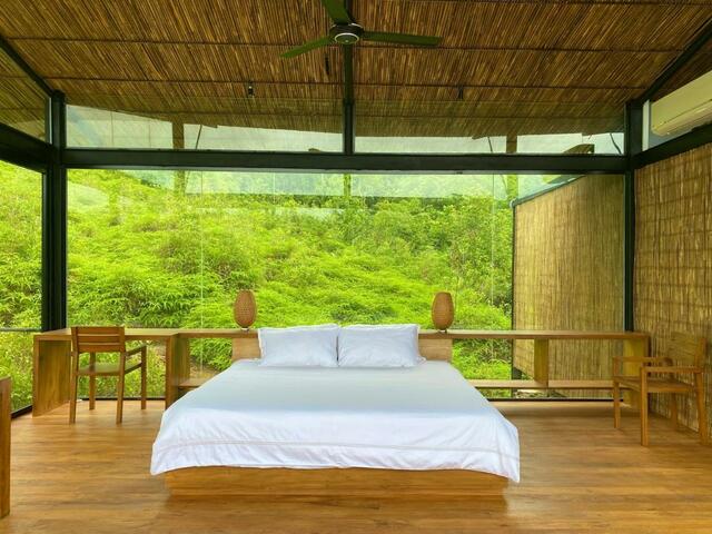 фото отеля Rainforest Resort изображение №17