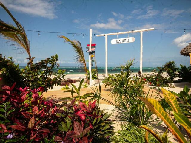 фотографии Alladin Boutique Beach Hotel & Spa Zanzibar изображение №16