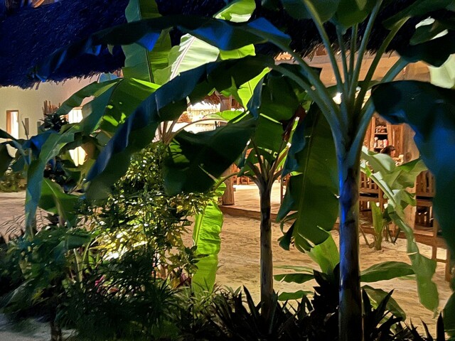 фото отеля Villa Unaweza изображение №13