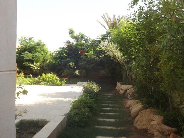 фото отеля Shahrazad Sharm El Sheikh изображение №21