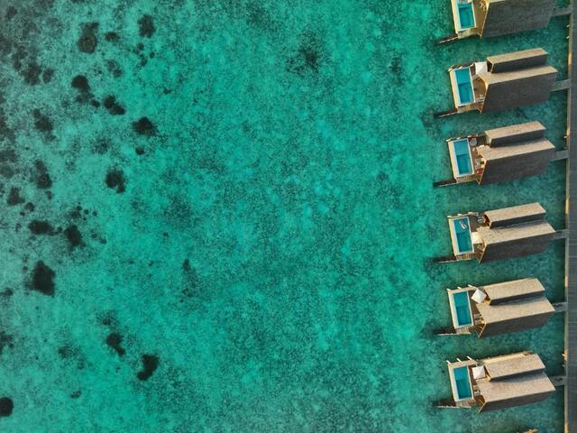 фото Emerald Faarufushi Resort & Spa (ex. Faarufushi Maldives) изображение №58