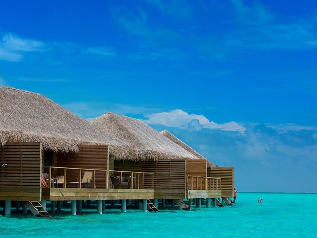 фотографии отеля Cocoon Maldives изображение №7