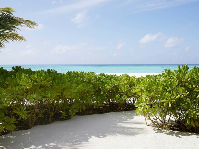 фотографии отеля Le Meridien Maldives Resort & Spa изображение №11