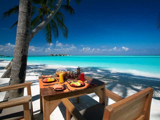 фотографии Gili Lankanfushi Maldives (ex. Soneva Gili by Six Senses) изображение №12