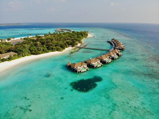 фотографии Noku Maldives (ex. Roxy Maldives) изображение №52