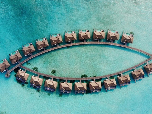 фото Noku Maldives (ex. Roxy Maldives) изображение №46