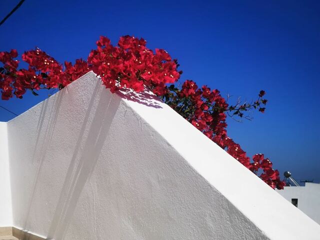 фото отеля Muses Cycladic изображение №29