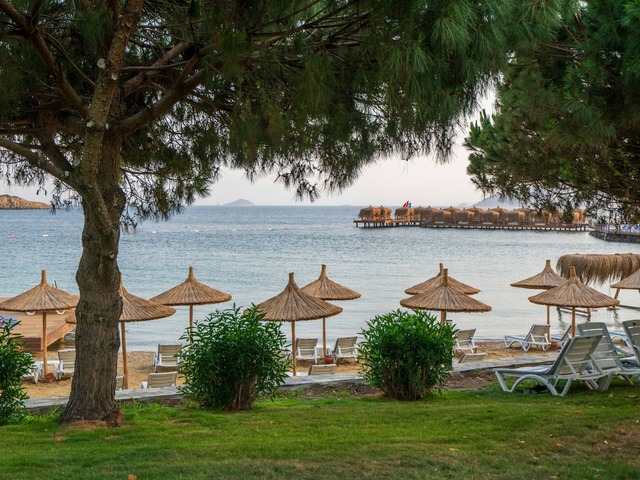 фотографии отеля Yasmin Bodrum Resort (ex. Yasmin Resort Paloma) изображение №3