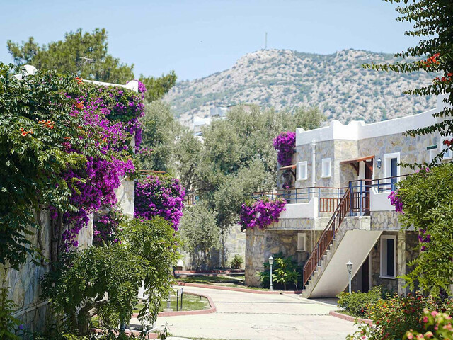 фотографии отеля Bodrum Park Resort (ex. Iberotel Bodrum Park, Village Resort Valtur Bodrum Park) изображение №15