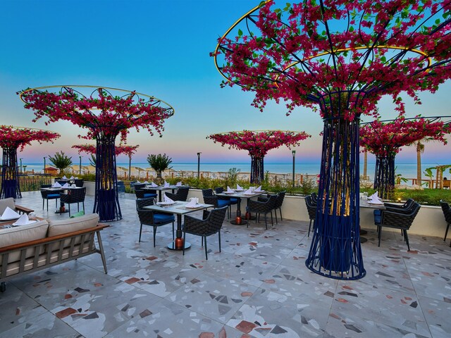 фотографии отеля Movenpick Resort Antalya Tekirova (ex. Royal Diwa Tekirova Resort; Euphoria Tekirov) изображение №51