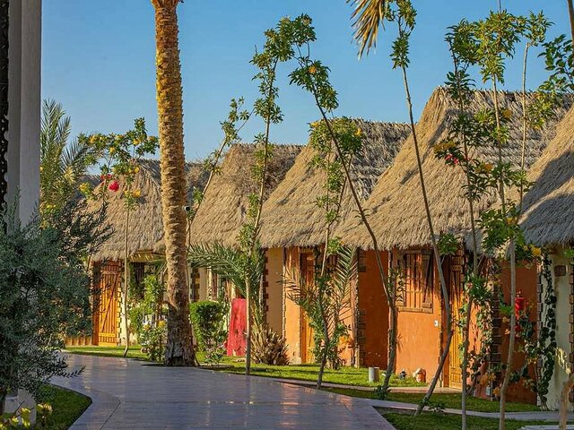 фото отеля Panorama Bungalows Resort изображение №5