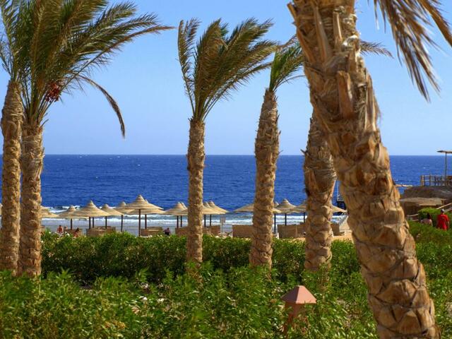 фотографии Viva Blue Resort Sharm El Naga изображение №16