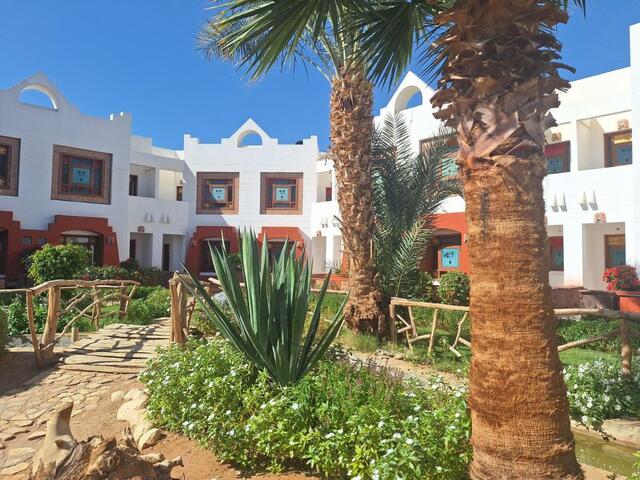 фотографии отеля Sharm Inn Amarein изображение №3
