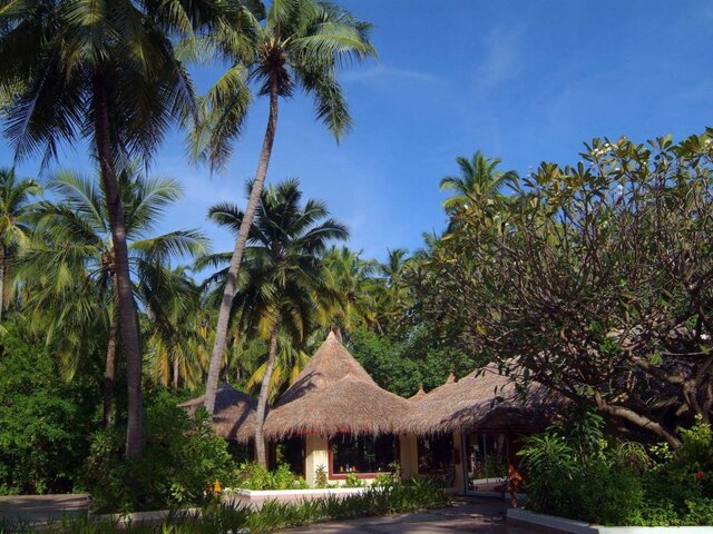 фотографии Biyadhoo Island Resort изображение №12