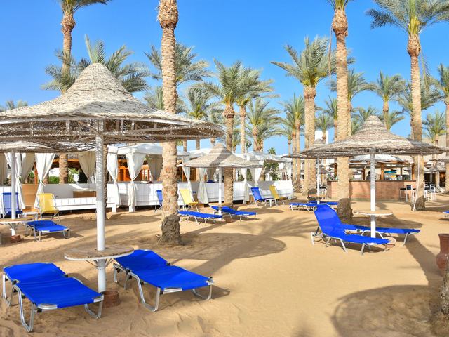 фотографии Seti Sharm Resort (ex. Dessole Seti Sharm Resort) изображение №28