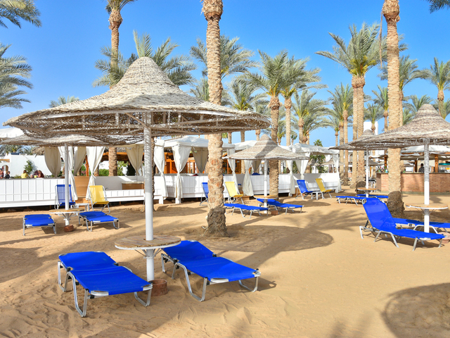 фотографии отеля Seti Sharm Resort (ex. Dessole Seti Sharm Resort) изображение №27