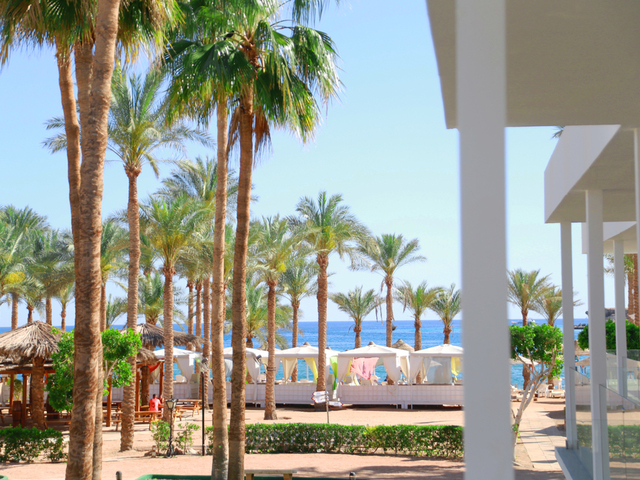 фото отеля Seti Sharm Resort (ex. Dessole Seti Sharm Resort) изображение №17
