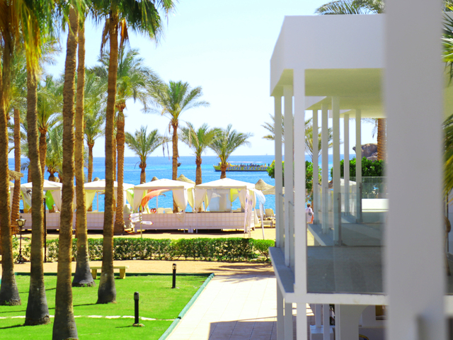 фотографии отеля Seti Sharm Resort (ex. Dessole Seti Sharm Resort) изображение №7