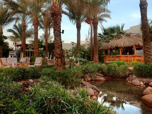 фото отеля JAZ Fayrouz Resort изображение №29