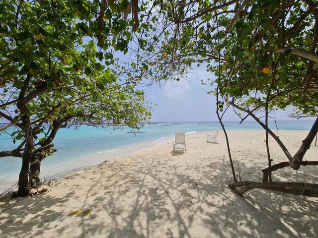 фотографии Liberty Guest House Maldives изображение №8