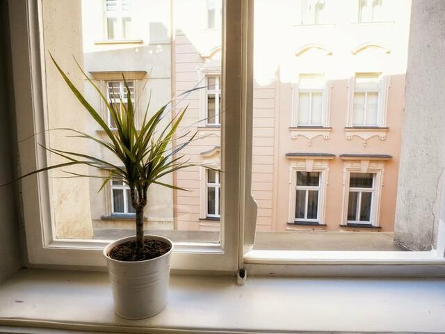 фото Apartment by the Old Town Square изображение №18