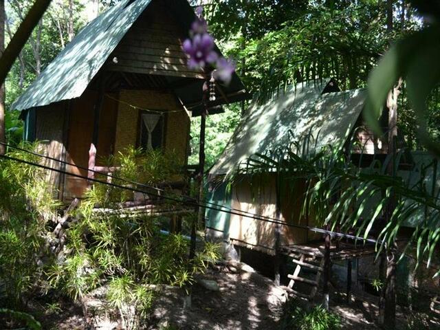 фотографии отеля Sai-Ngam Botanic Garden Resort изображение №7