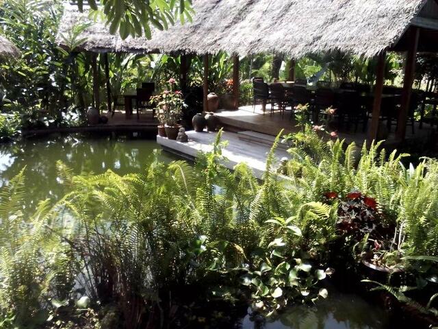 фото отеля Frog and Catfish Country Inn Krabi изображение №5