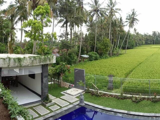 фото Long Lane Homestay Bali изображение №2
