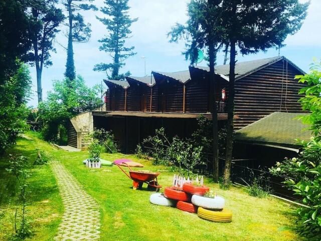 фотографии Agva Orman Evleri (Forest Lodge) изображение №12