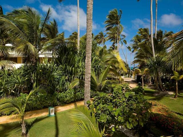 фотографии отеля Meliá Caribe Beach Resort - All Inclusive изображение №7