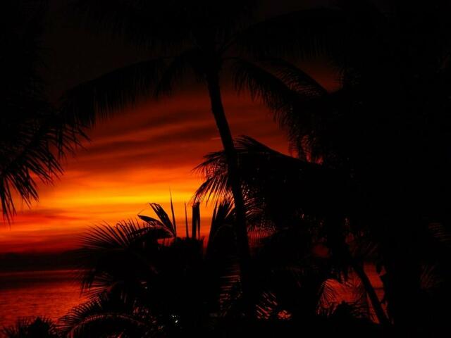 фотографии отеля Sibaja Palms Sunset Beach Luxury Villa изображение №3
